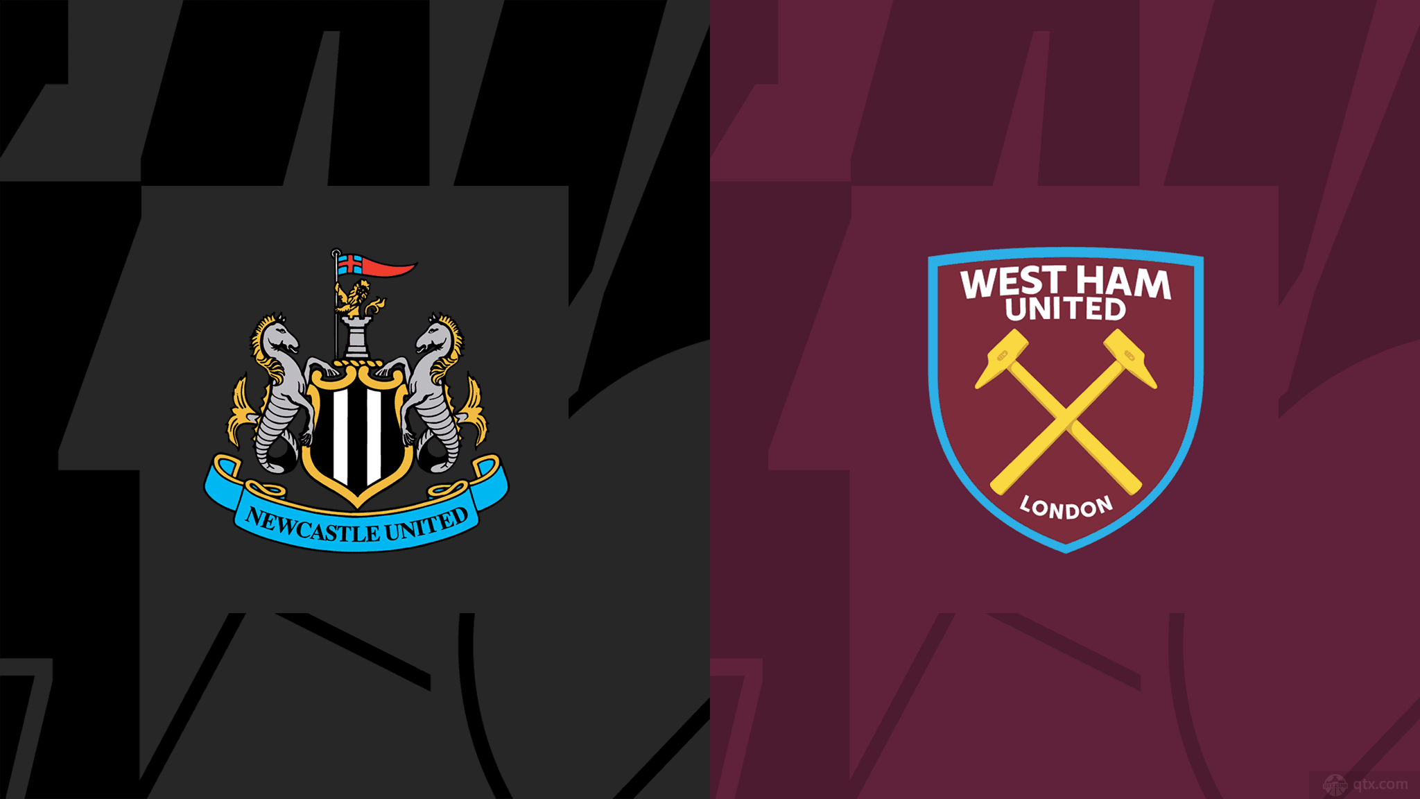 仅稳固了 仅稳固了